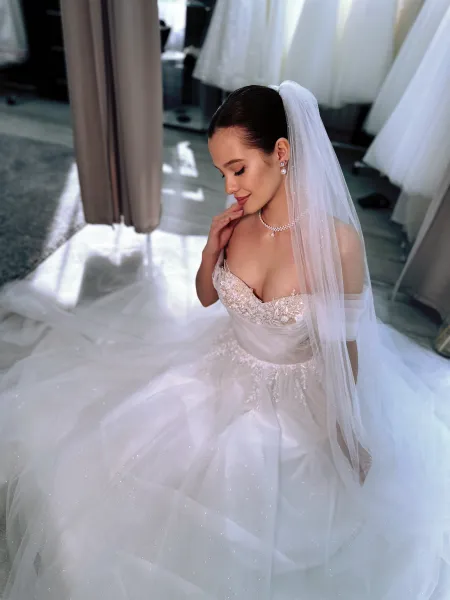 Модель Кларентина